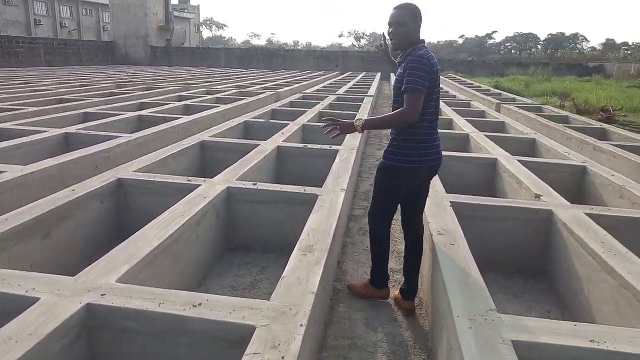 Massive Snail Pen with a Green House Combined