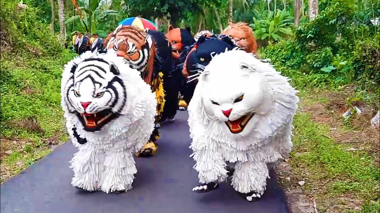 KIRAB CAN MACANAN SINGO MANGGALA DAN DRUMBAND MAONG REMAS DI TEGAL WARU MAYANG PART 1