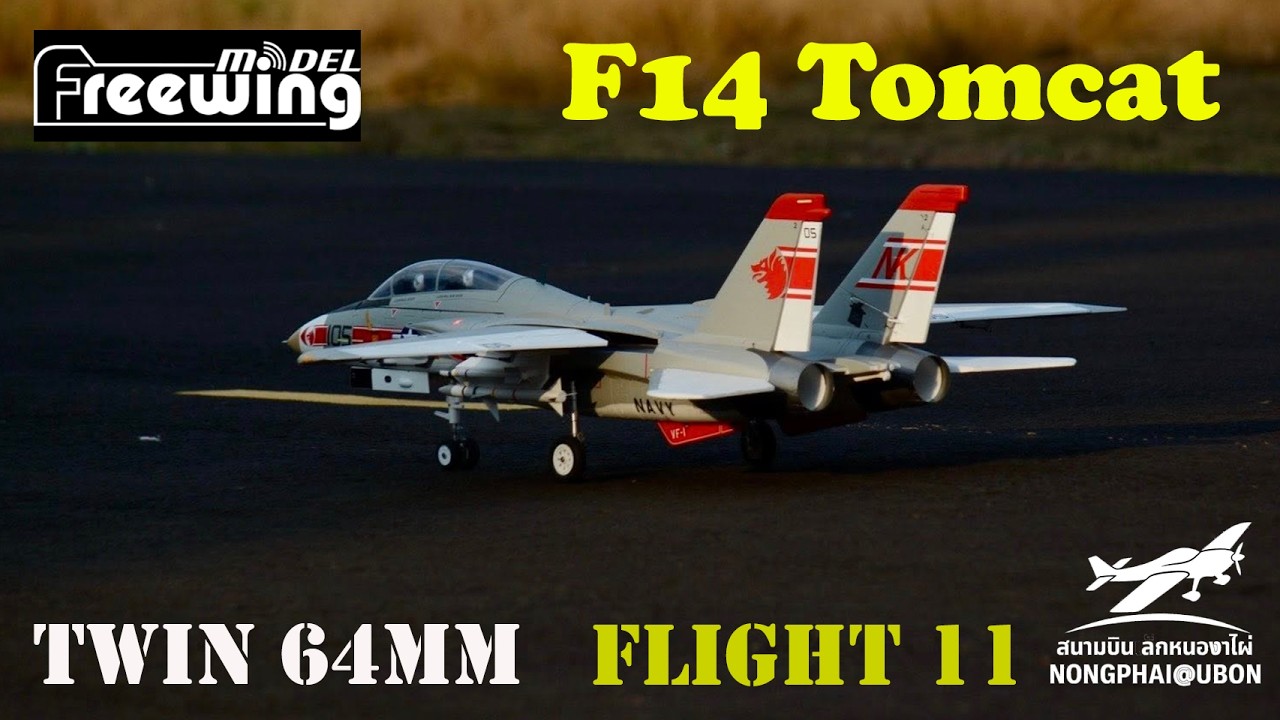 F14 Tomcat Twin64mm Freewing Model