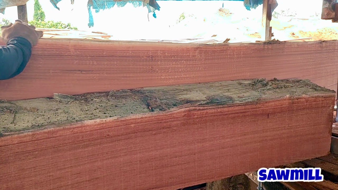Pabrik Pengolahan Kayu //Pengolahan bahan berbagai ukuran dari batang kayu Meranti Merah