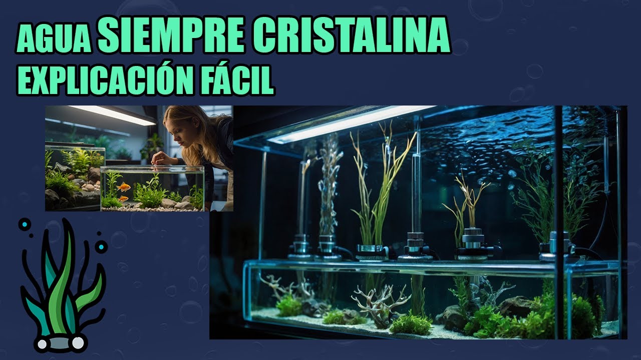 02.- Montaje y FILTRACIÓN BIOLÓGICA