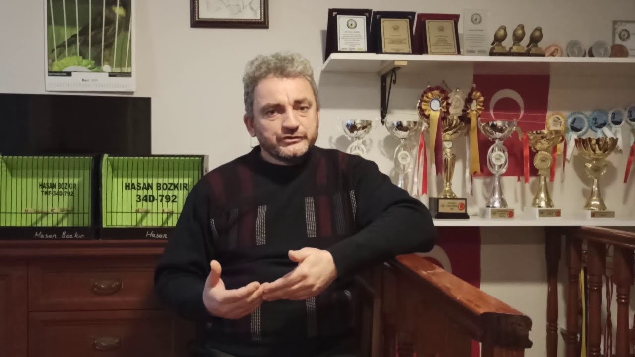 Kanaryalarda Siyah Benek Hastalığı