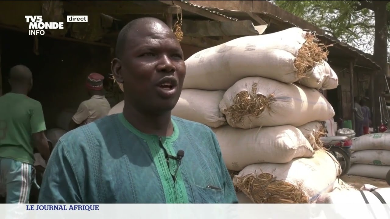 Cameroun : le pays interdit l'exportation de céréales