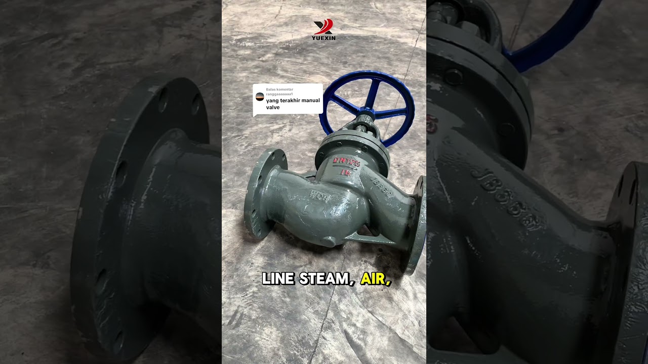 Globe Valve YueXin Industry Indonesia