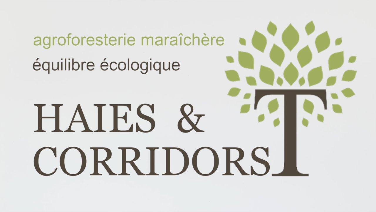 ÉQUILIBRE ÉCOLOGIQUE - Haies & Corridors