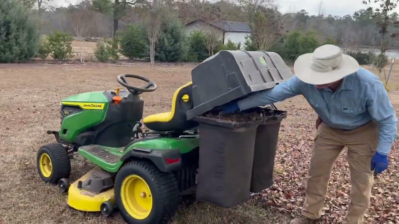 Preparing for Daffodils to Bloom Again: Mowing, Mulching, & Composting