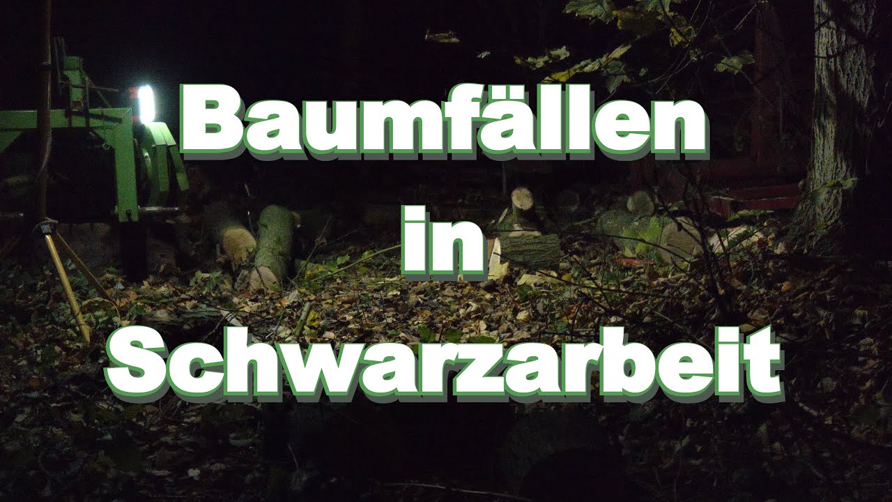 Geht es auch schiefe Bäume zu fällen?
