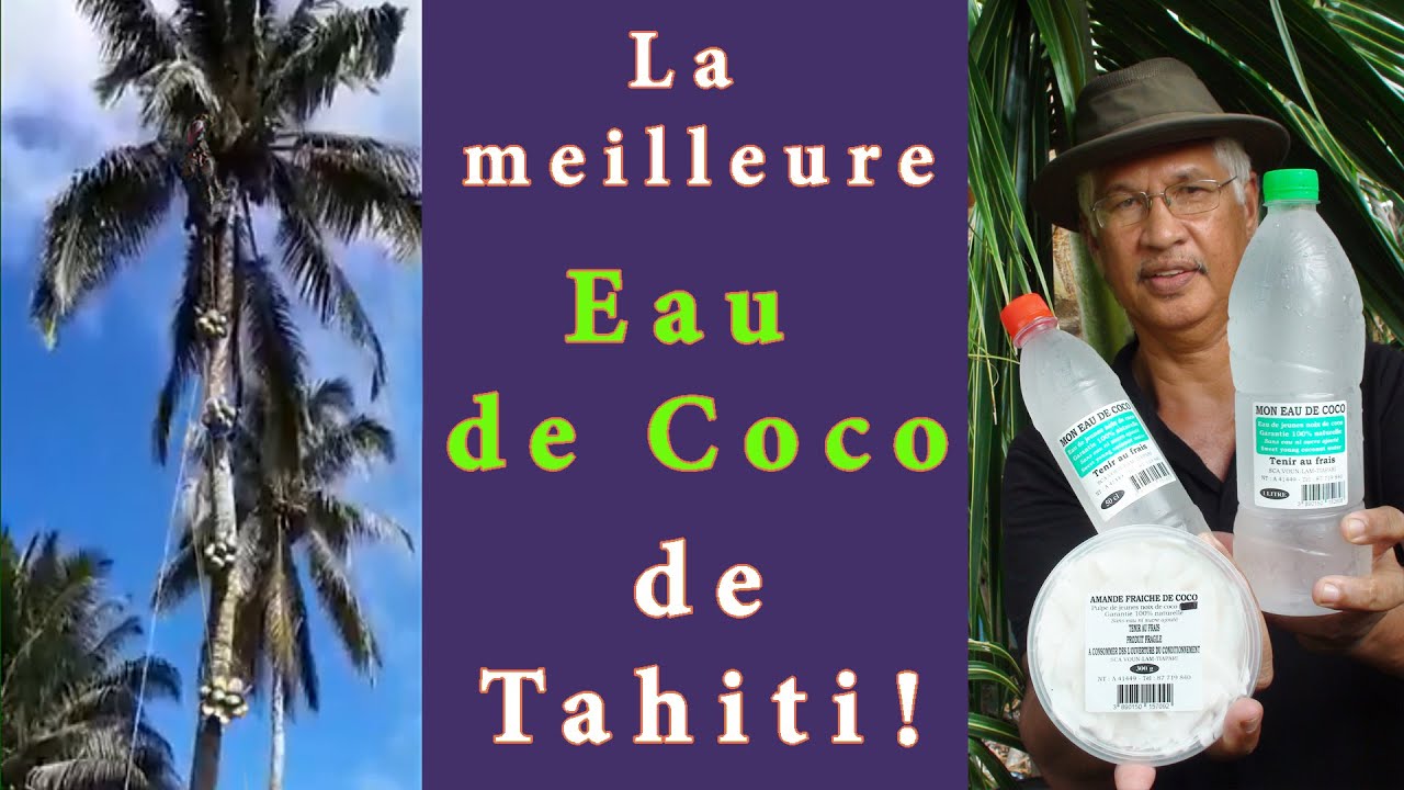 La meilleure eau de coco de Tahiti!
