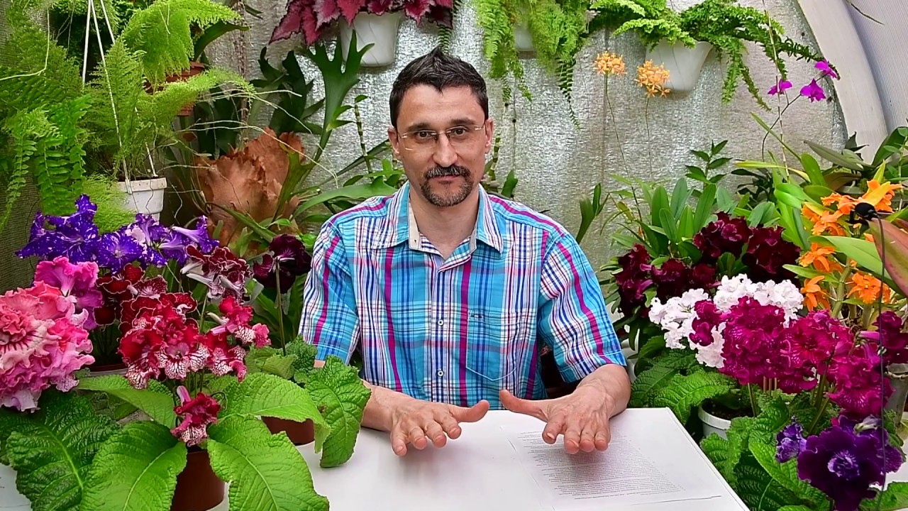 Ответы на вопросы о поливе растений.  Часть 1