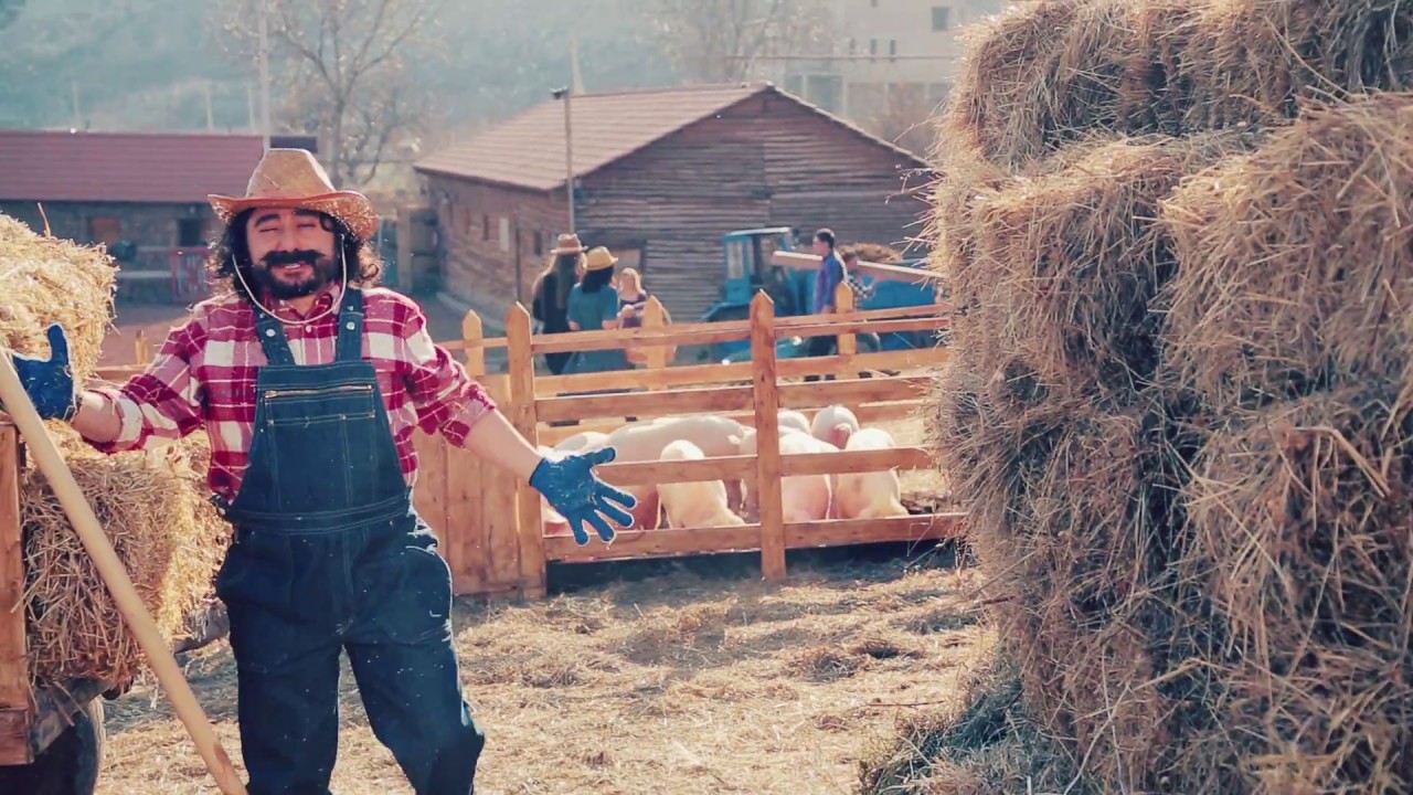 ԹՈւՄԱՆՅԱՆ ՇԱՈւՐՄԱ / TUMANYAN SHAURMA