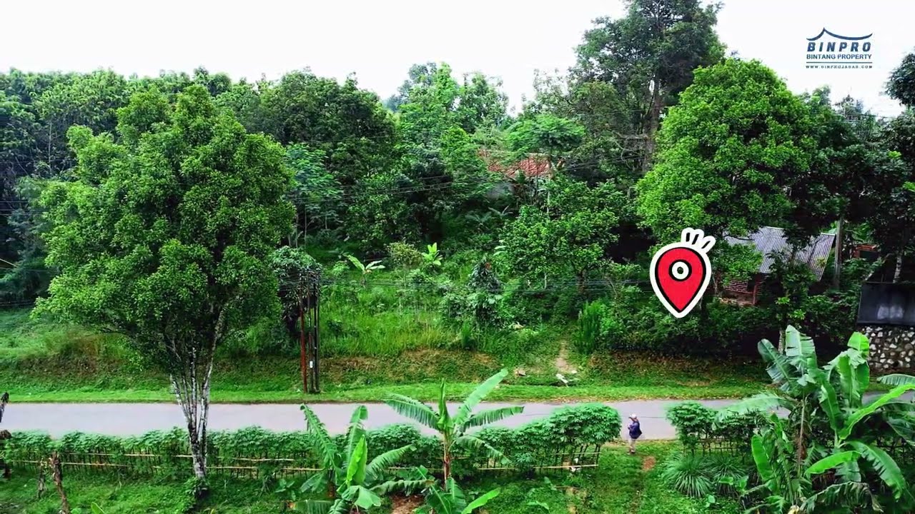 🔴 REVIEW Tanah Kebun 1250 m2 Dekat Tol | SUDAH TERJUAL
