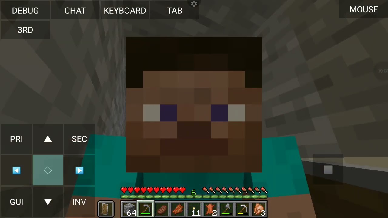 Men minecraftda 1 TA UY HAYVONIni topladim! | UHT! Letsplay #1