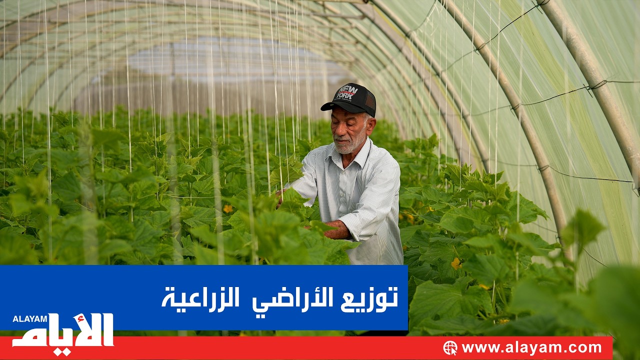 مشروع الأراضي الزراعية الجديدة في هورة عالي