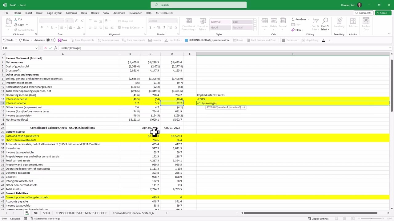 Net Interest Expense