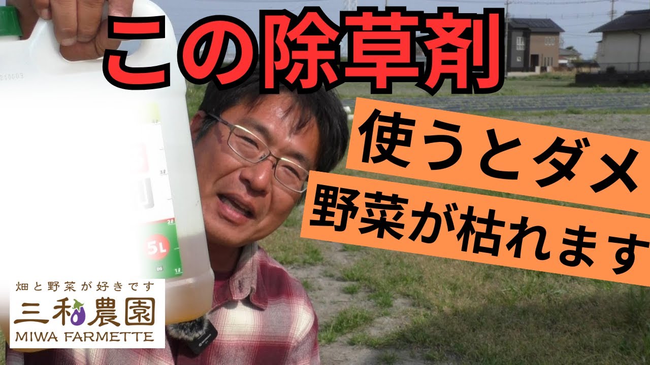 使うと絶対に野菜が枯れる除草剤があります。適切に使用して雑草対策をしましょう！（2025.4.8）