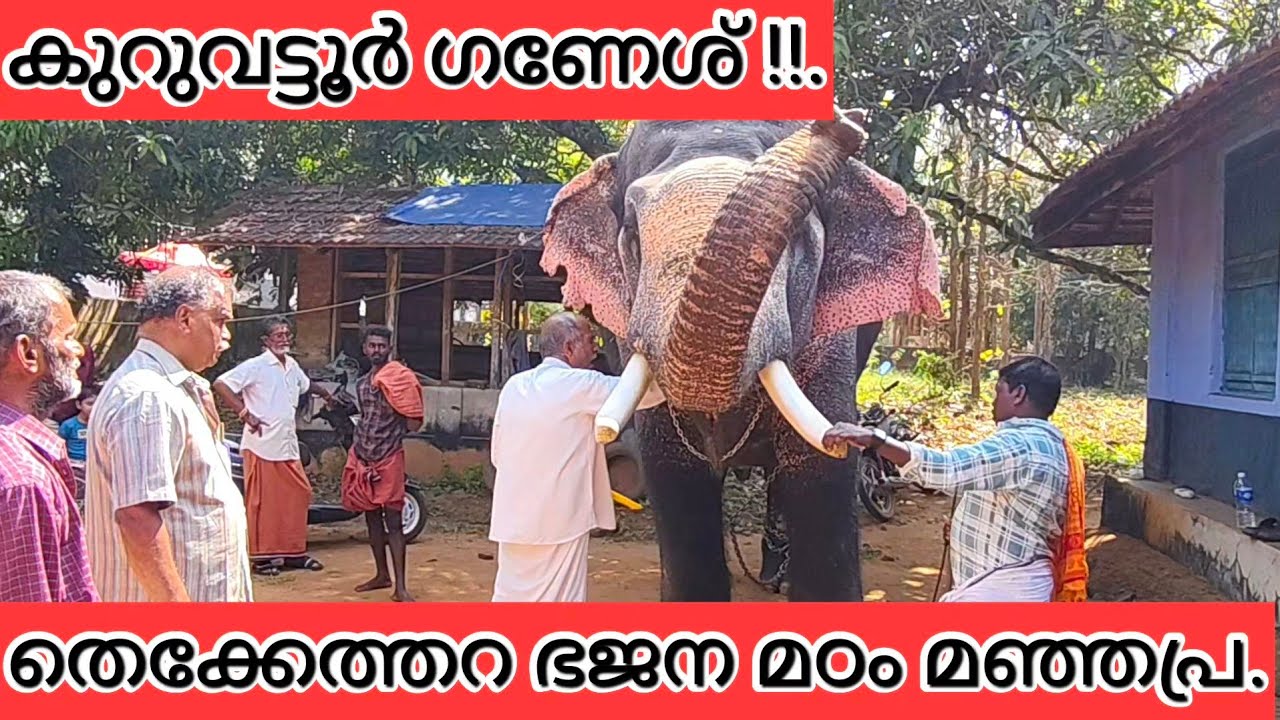 മഞ്ഞപ്ര,തെക്കേത്തറ അയ്യപ്പൻ വിളക്കിനെത്തിയ കുറുവട്ടൂർ ഗണേശ്/പാലക്കാട്.
