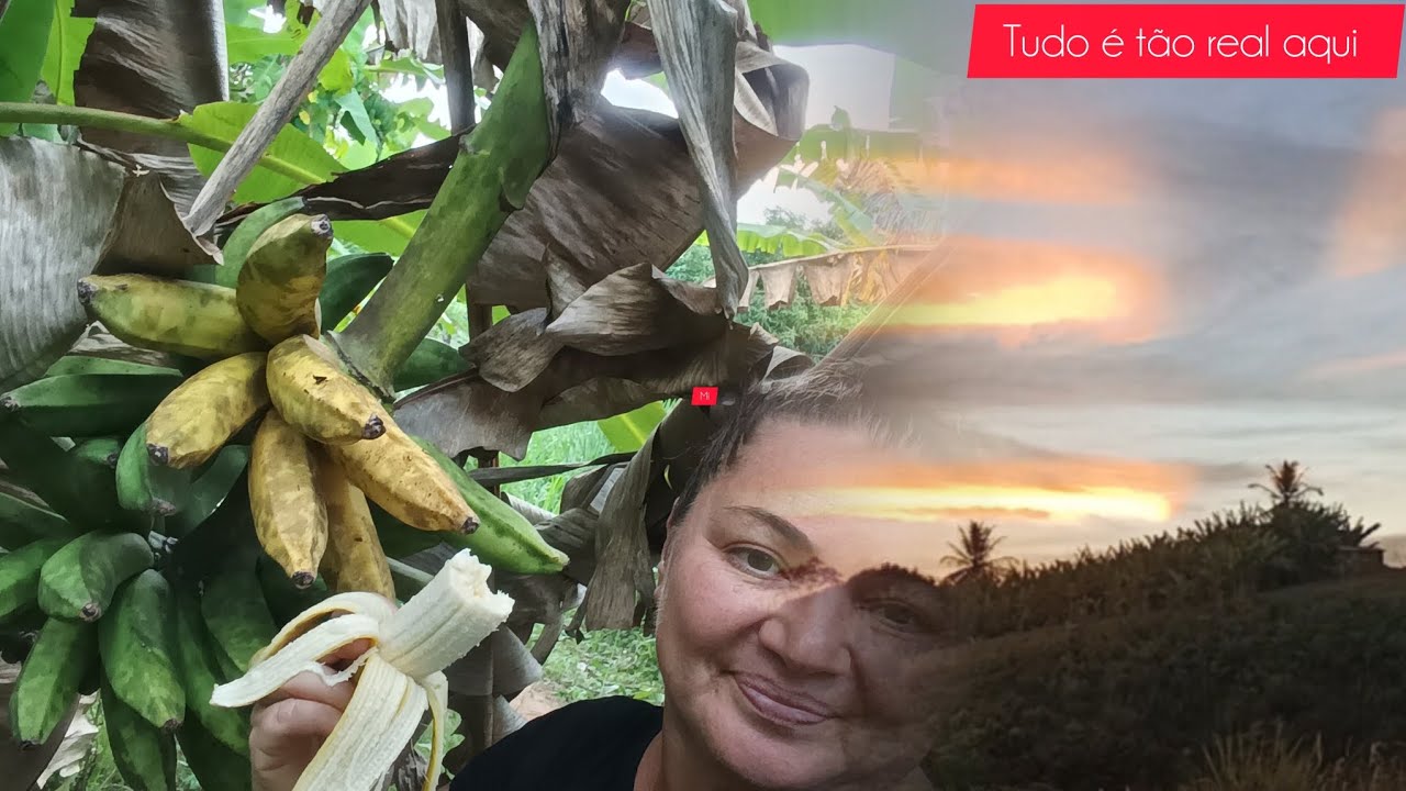 A vida se torna tão boa um mundo tão rico simples assim entre céu e terra 😻