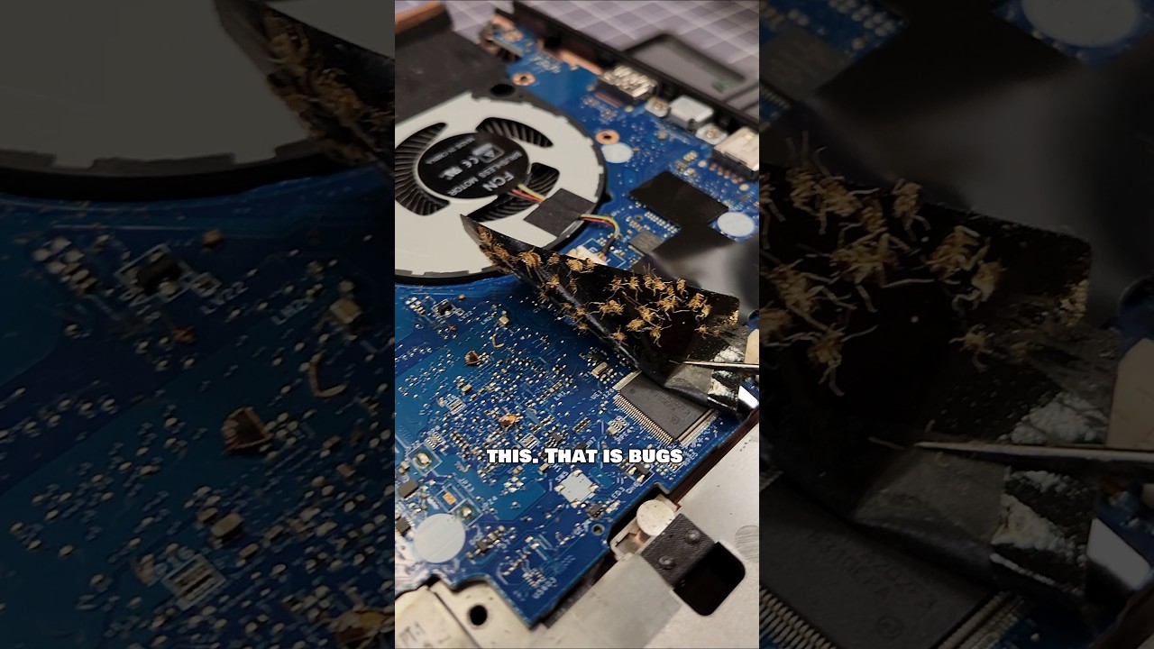 I'm Not FIXING This LAPTOP! Bed Bugs! Cat Pee! #laptoprepair #pc #tech