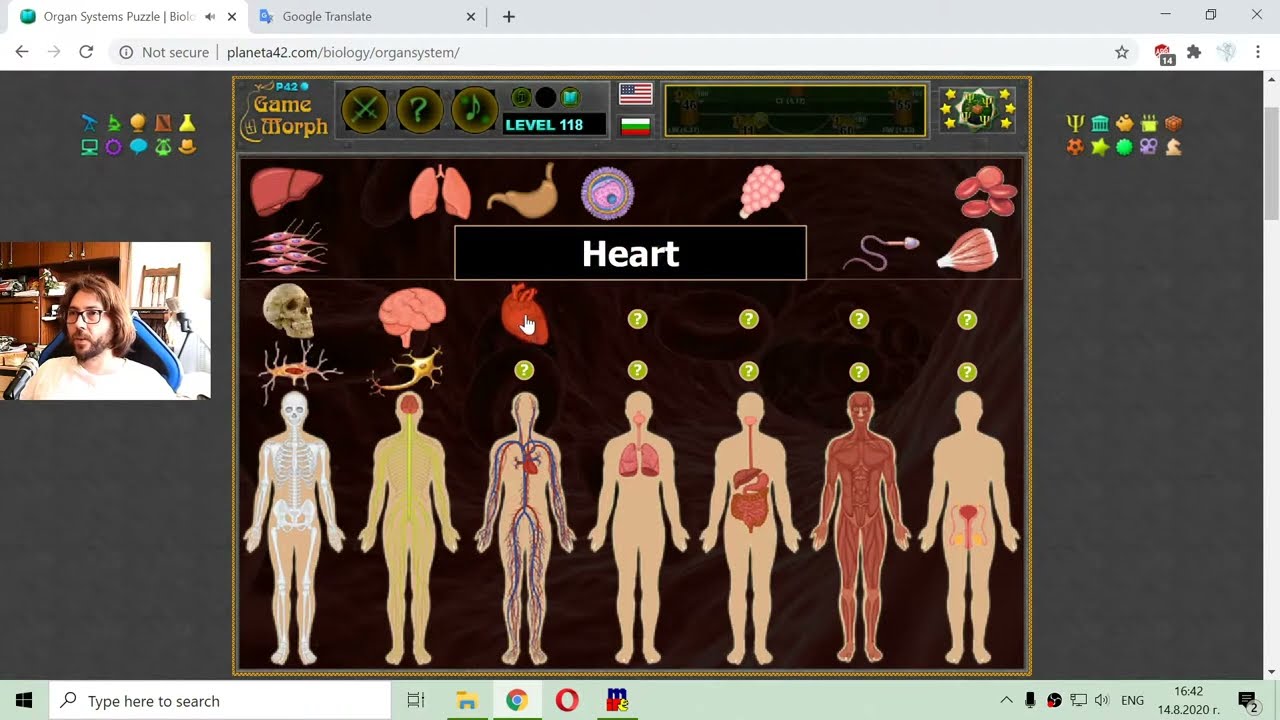The Main Parts of the Organ Systems - Interactive Biology Lesson 🦠🎥🎓