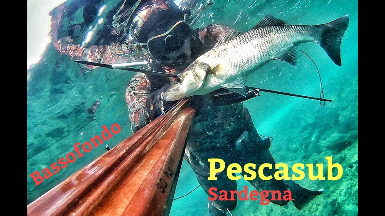 Pescasub Alghero nel bassofondo - ....arriva lui a sorpresa