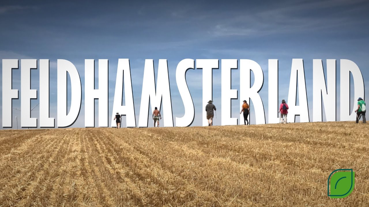 Feldhamsterland - Gibt es Rettung für den Nager?
