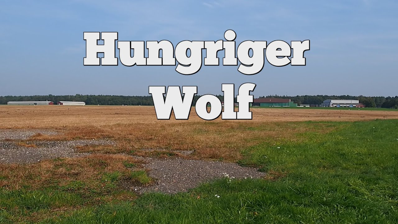 Hungriger Wolf: Ein Flugplatz mit Geschichte (SH-Podcast Nr. 117)