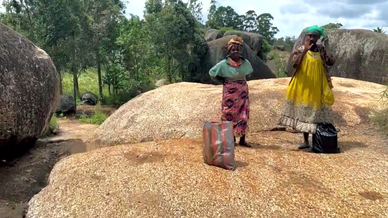 Sur les pas des Dieux. Rituels bamiléké (Cameroun). Film réalisé par Philippe Charlier. 2022.