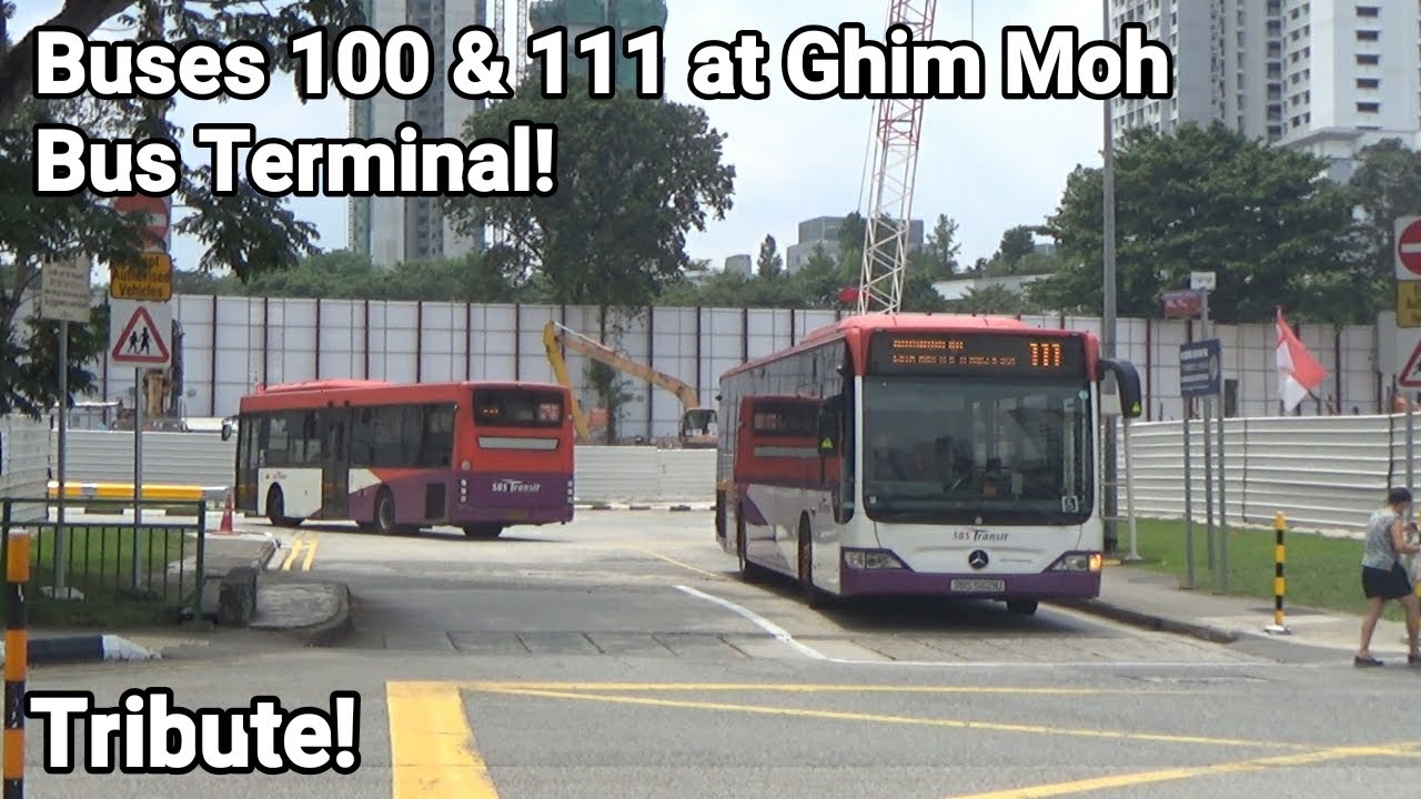 Buses 100 & 111 at Ghim Moh Bus Terminal (Tribute)