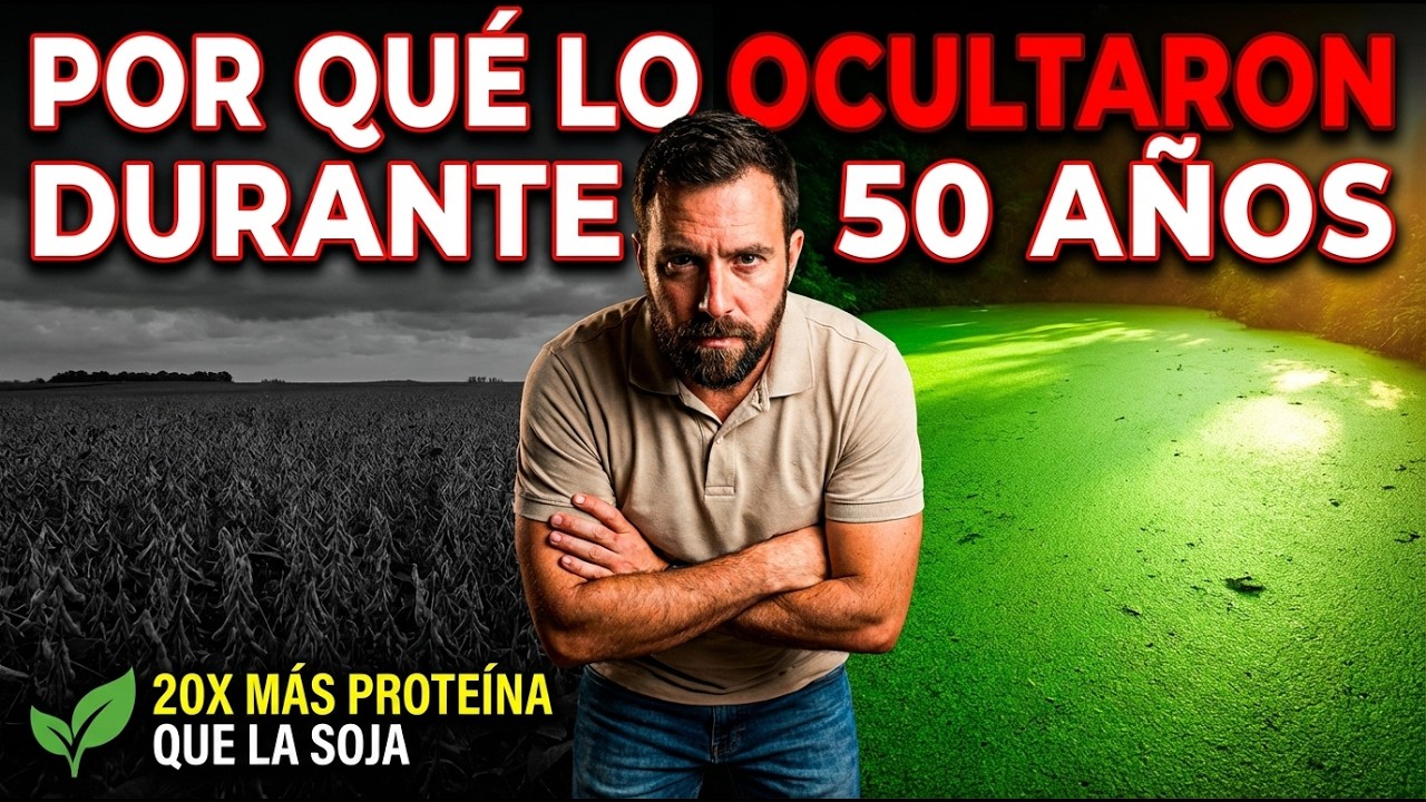 La proteína más barata del mundo. La puedes cultivar este fin de semana.