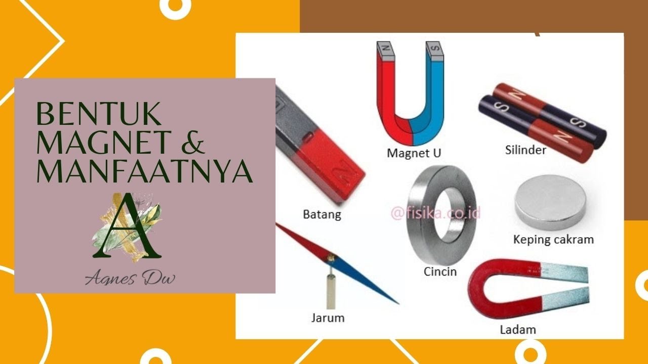 Bentuk Magnet & Manfaatnya