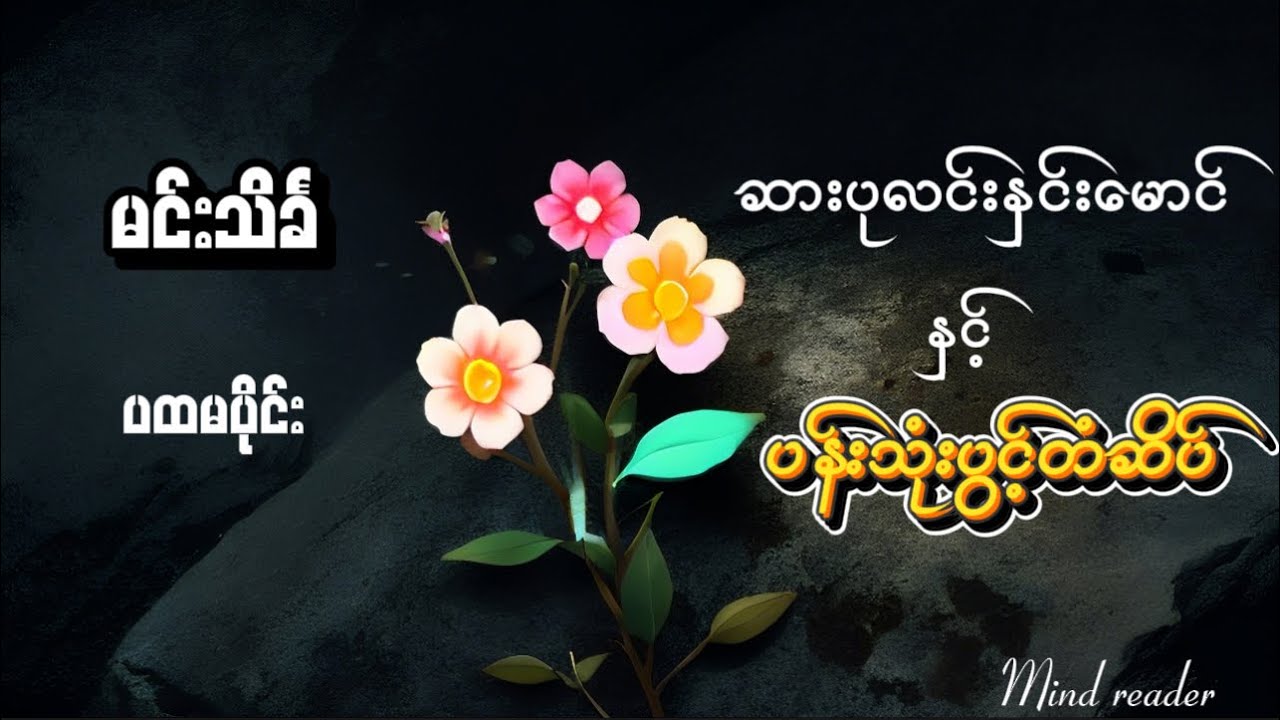 ဆားပုလင်းနှင်းမောင် နှင့် ပန်းသုံးပွင့်တံဆိပ် (ပထမပိုင်း) #မင်းသိင်္ခ #စုံထောက်ဝတ္ထုရှည် #mindreader