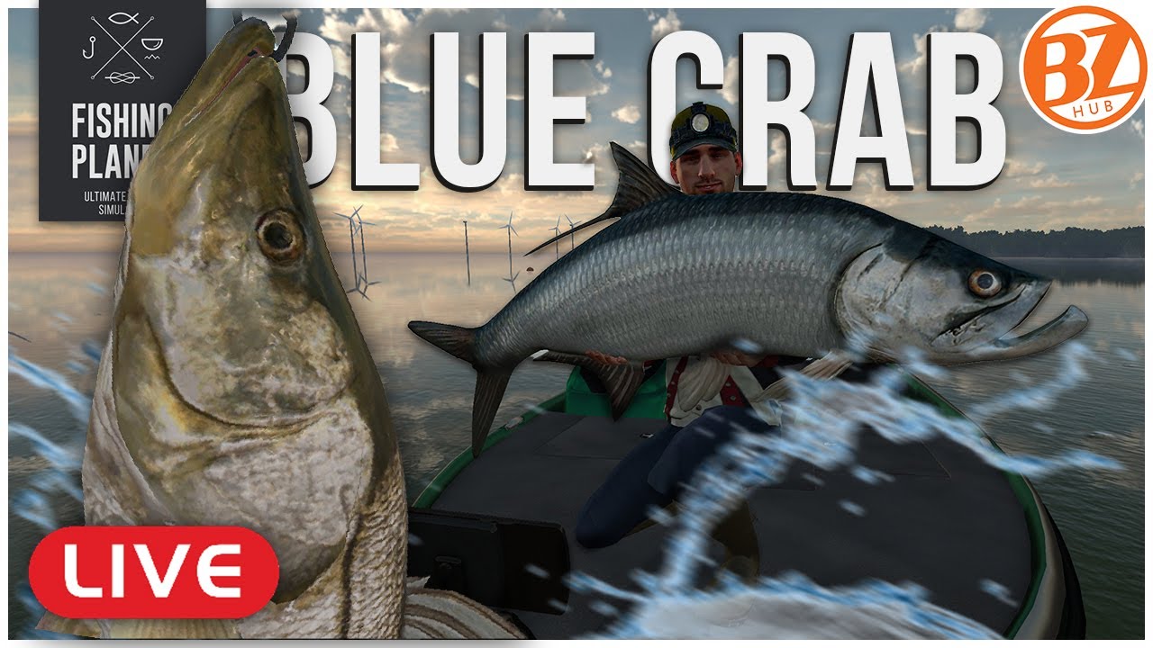 BACK IN BLUE CRAB! Chasing Uniques! l Fishing Planet (LIVE)