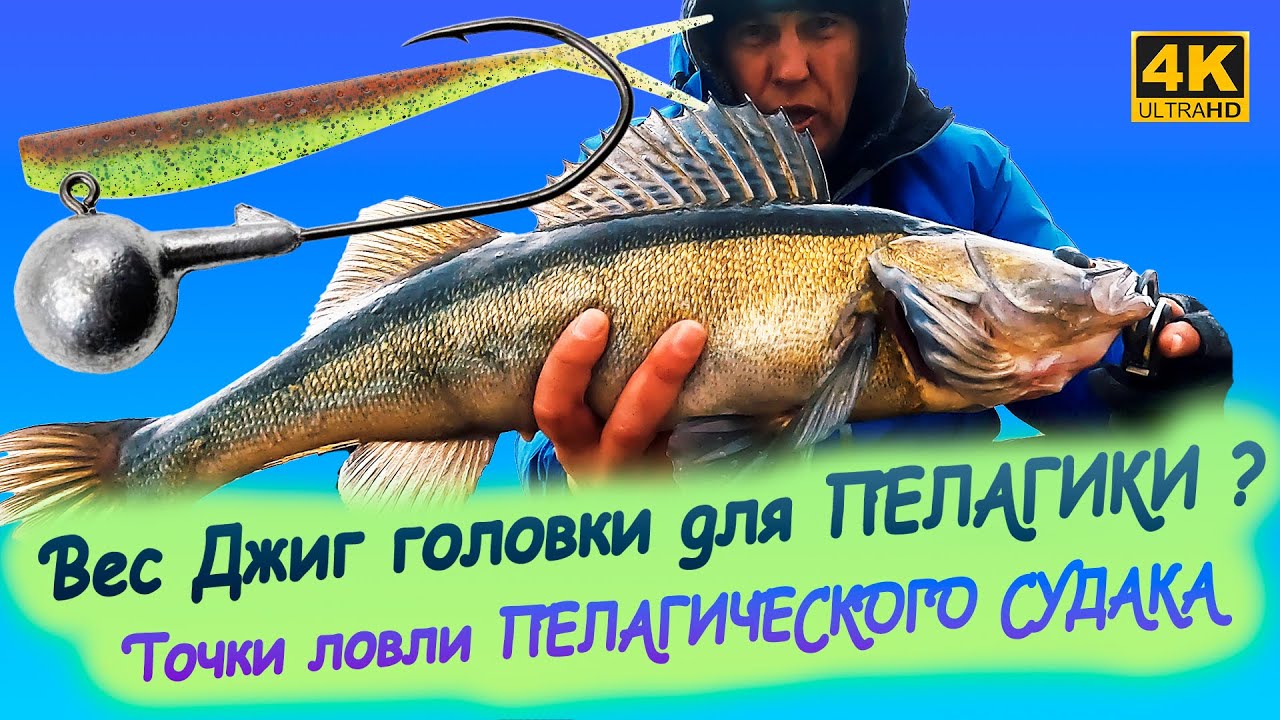 Вес ДЖИГ ГОЛОВКИ для ПЕЛАГИКИ. Где искать ПЕЛАГИЧЕСКОГО СУДАКА