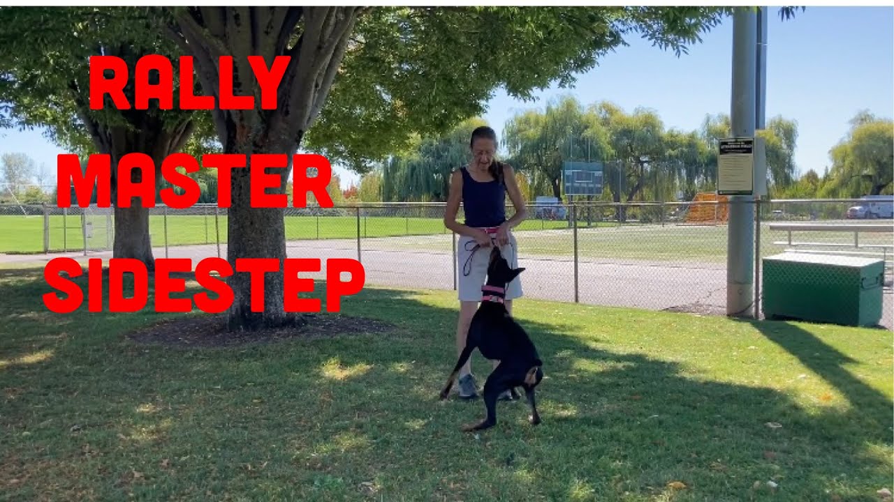How to Train the Rally Master Sidestep