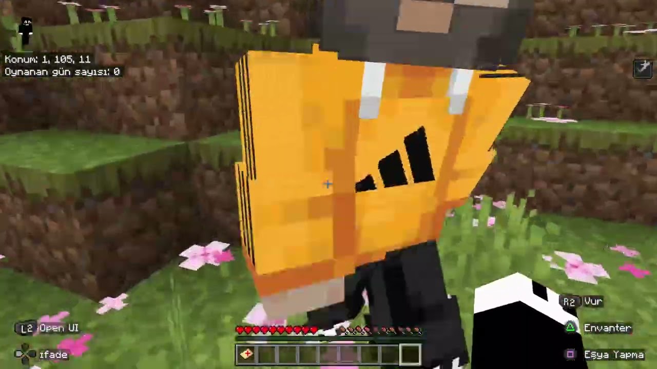 Minecraft 0 gün