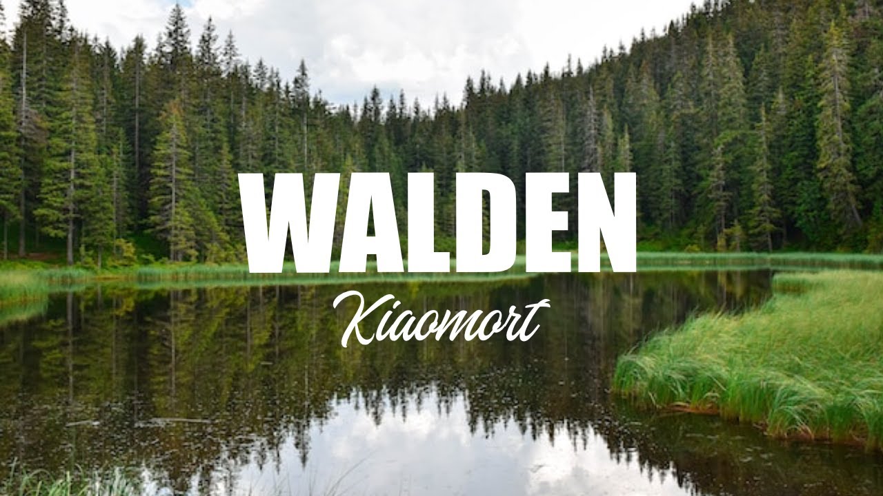 Kiaomort - Walden (Official Lyric Video)