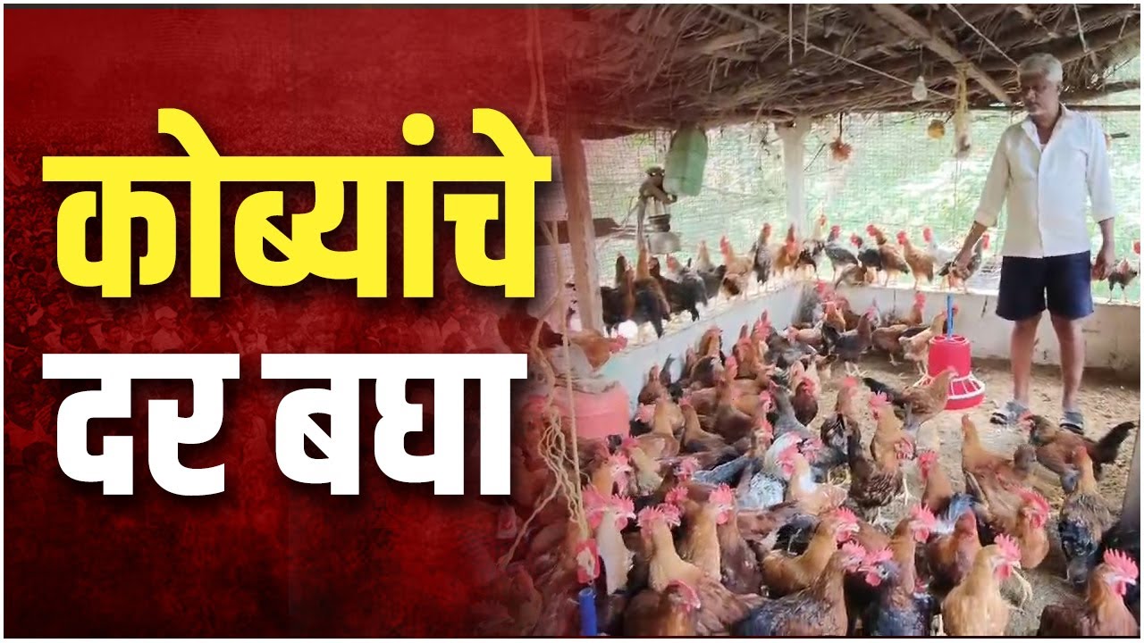 कोब्यांची जत्रा उद्या | Kombyachi Jatra | Ghodemukh