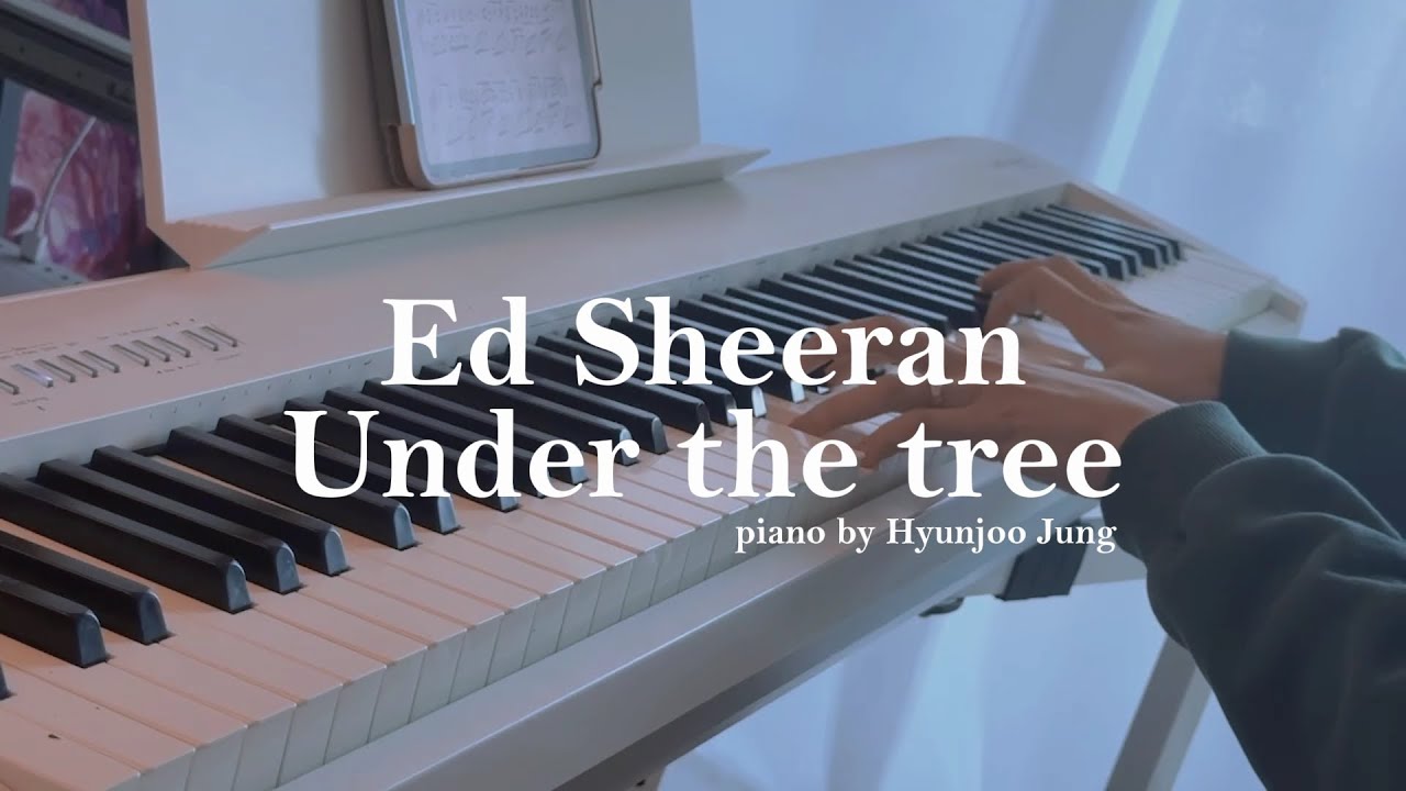 Ed Sheeran - Under the tree Piano Cover Sheet Music