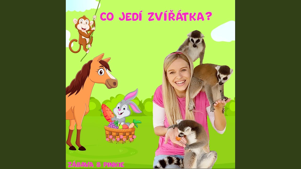 Co jedí zvířátka?