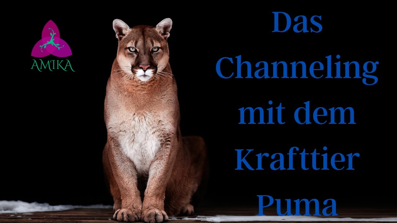 Krafttier Channeling Puma