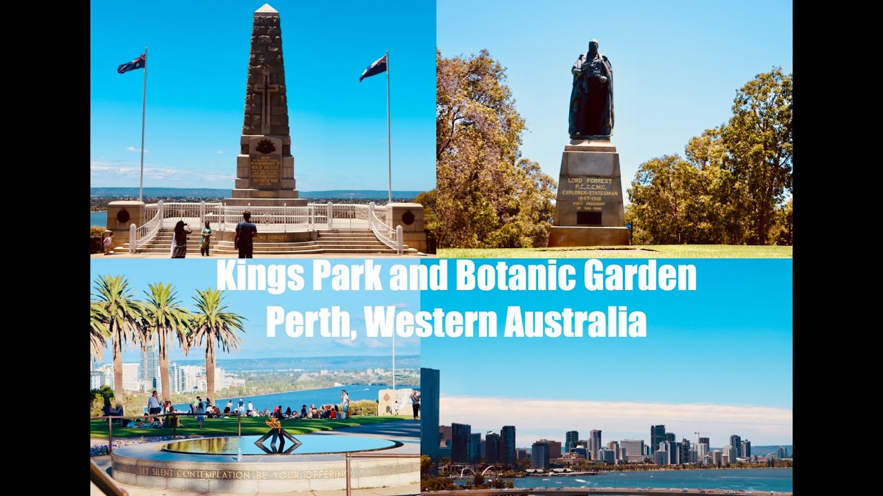 Kings Park Perth | Best City Views in Western Australia 4K