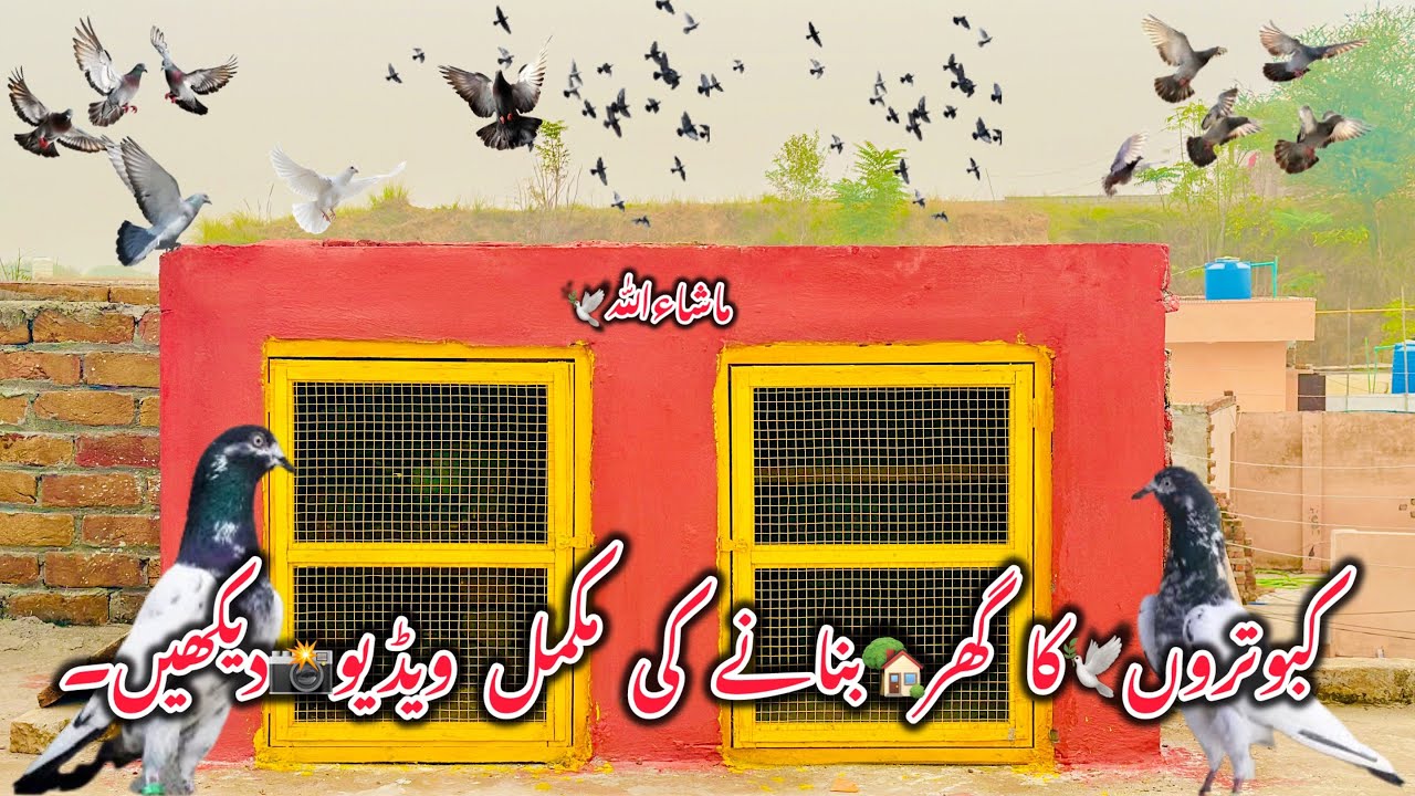 How to Make a pegion🕊️Home🏠(2024)(کبوتروں کا گھر🏠بنانے کی مکمل ویڈیو📸دیکھیں۔ 😱)