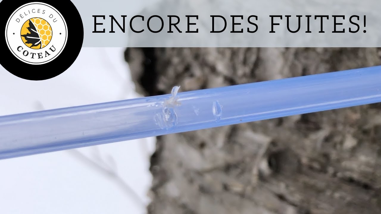 Encore des fuites, fuites, fuites fuites!