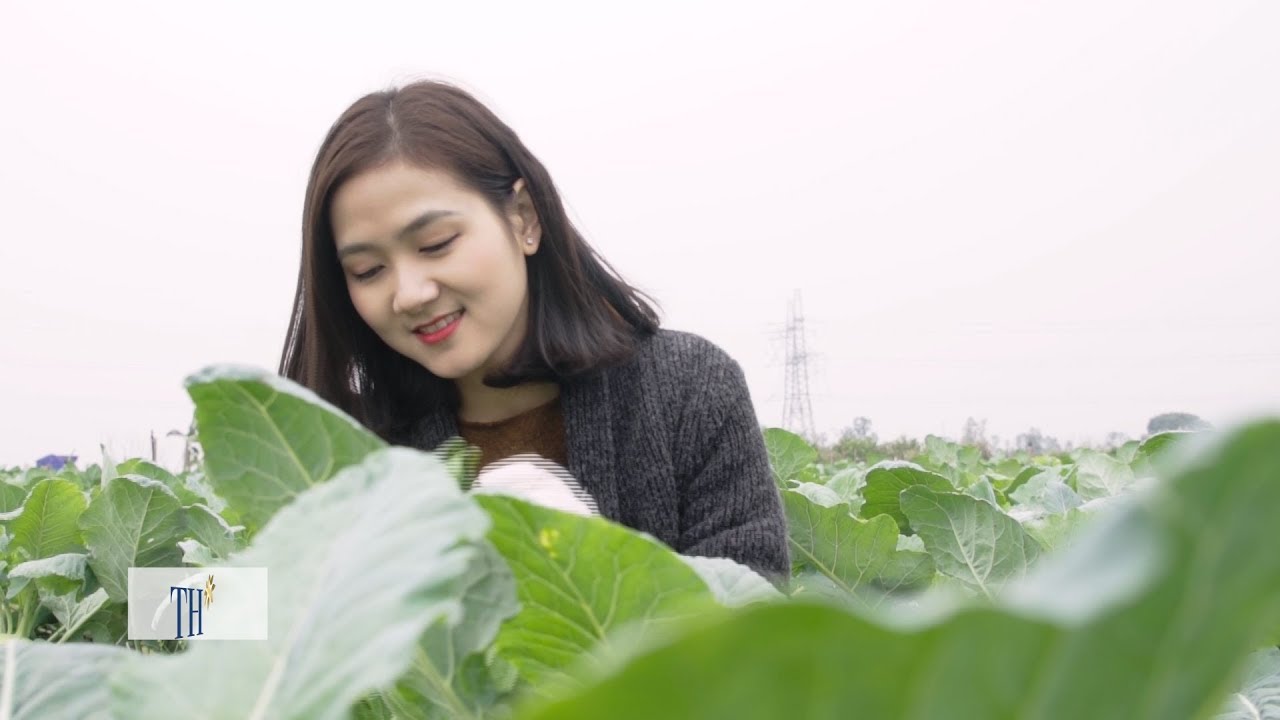 TRỒNG RAU THEO MÔ HÌNH AN TOÀN KHÔNG NHỮNG TỐT CHO CON NGƯỜI, MÀ CÒN CHO MÔI TRƯỜNG