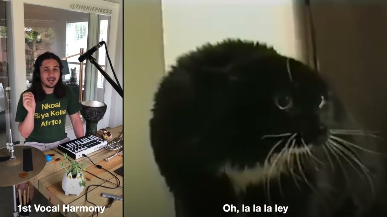 Oh Long Johnson feat. The Kiffness - Talking Cat Live Looping Reggae Remix