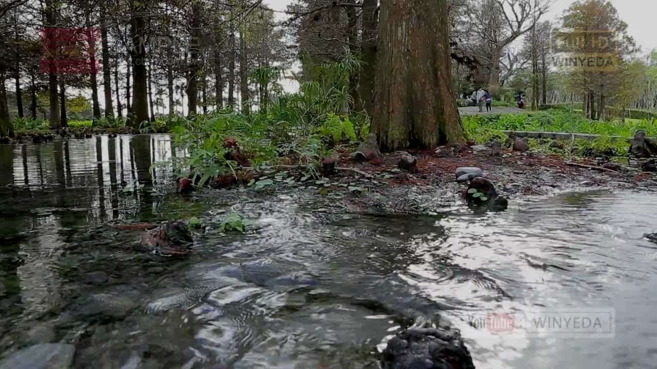 花蓮 雲山水 森林 水流 林木 水光倒影 精簡版 V2  WB0243 2013 01 20 美的因