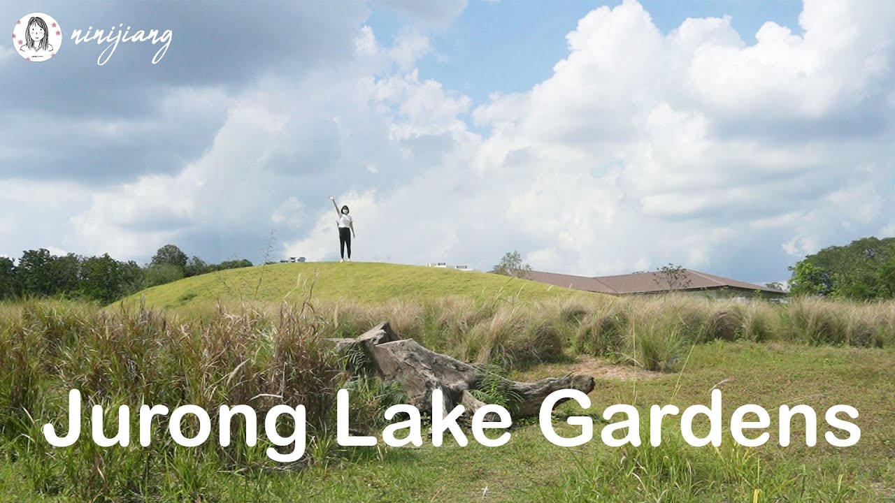 探索新加坡: 疫情不能出國, 不如來裕廊湖花園看看 | Exploring Singapore: Jurong Lake Gardens Hiking & Cycling Tour