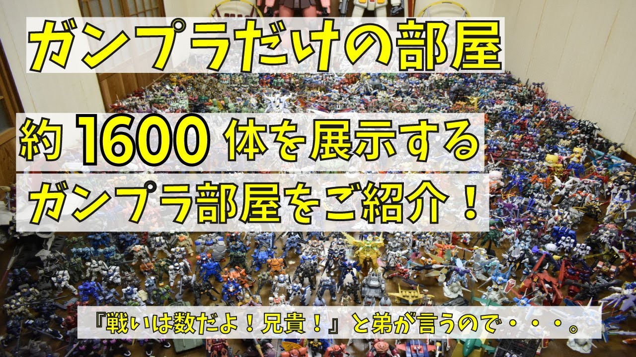【20年続けた趣味】ガンプラだけを集め続け1600体飾る【ガンプラ部屋】