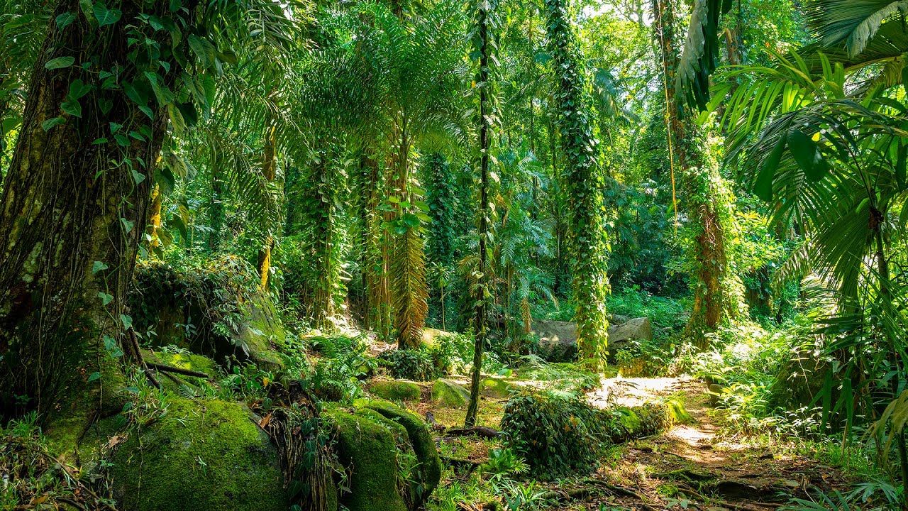 Seychelles National Botanic Garden
