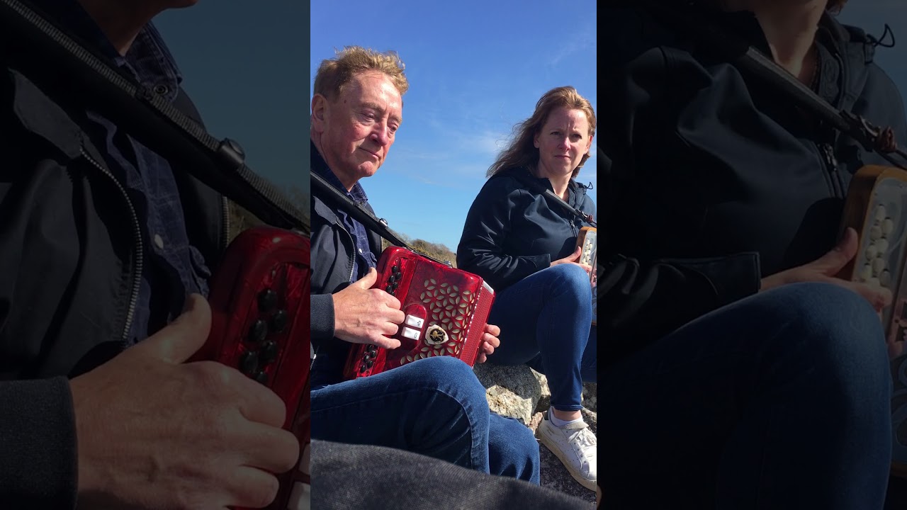 Down by the Sally Gardens - Irish traditional song on button accordion